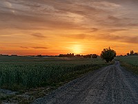 09062018-DSC07836