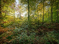 14102018-DSC09722