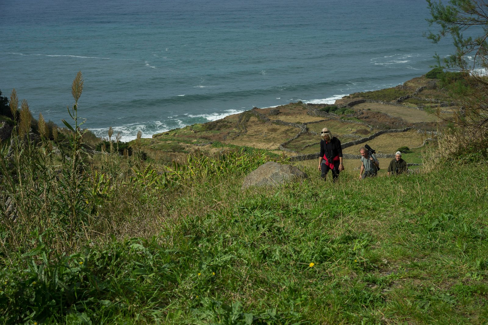 DSC04623