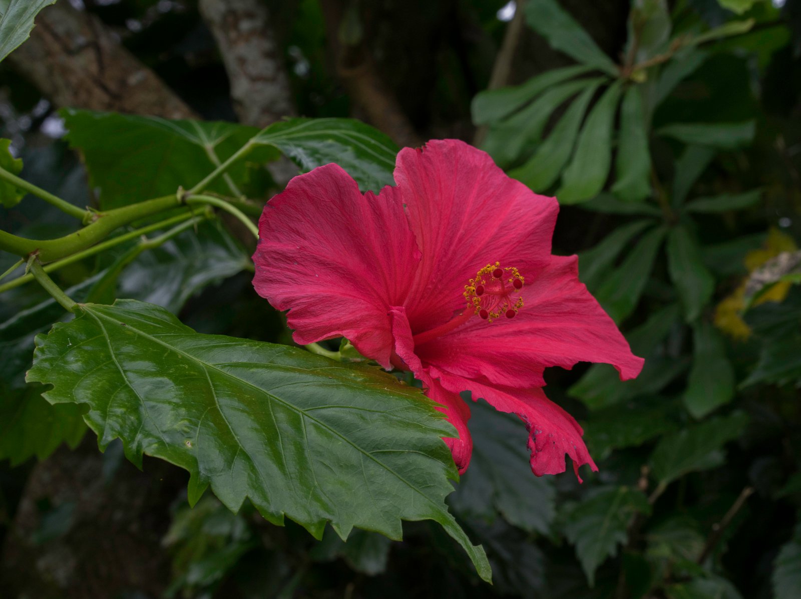 DSC04728