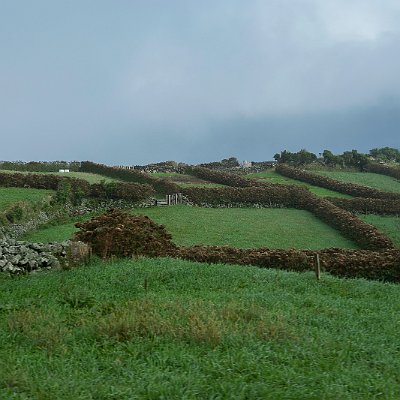 DSC03902
