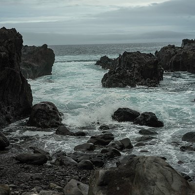 DSC03963