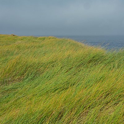 DSC03996