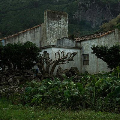 DSC04638