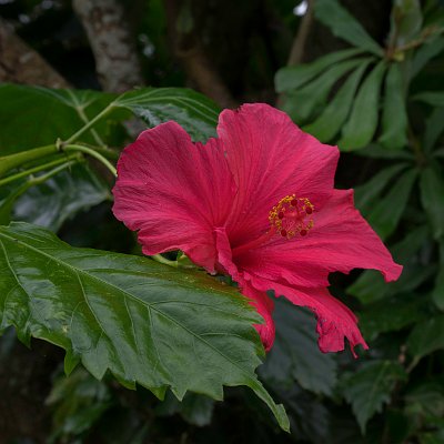 DSC04728