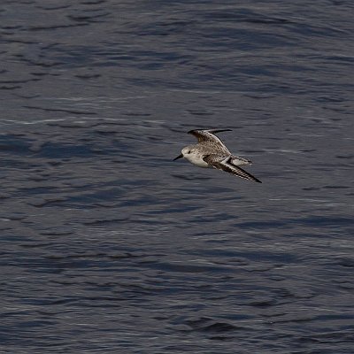 _AR_4643-2