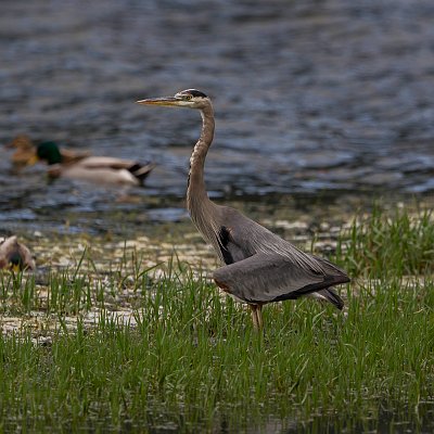 _AR_4752-2