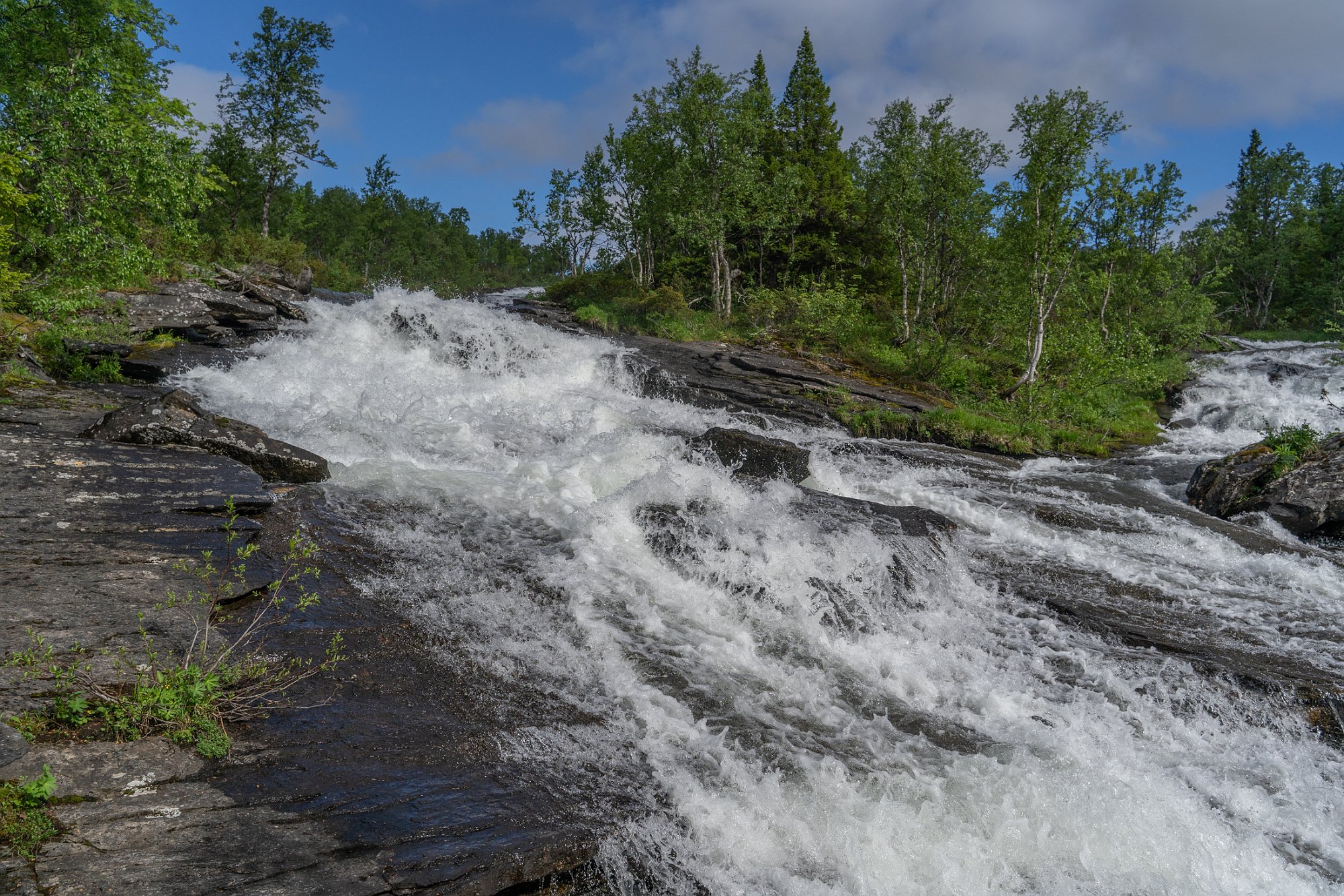 29062022-DSC05700