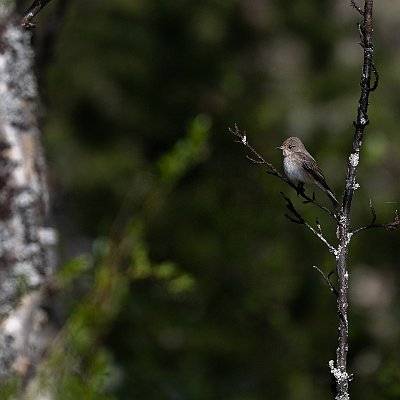 12062022-8C8A4328