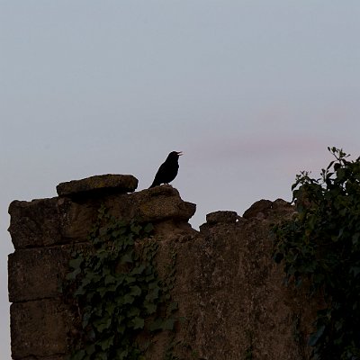 IMG_04301600