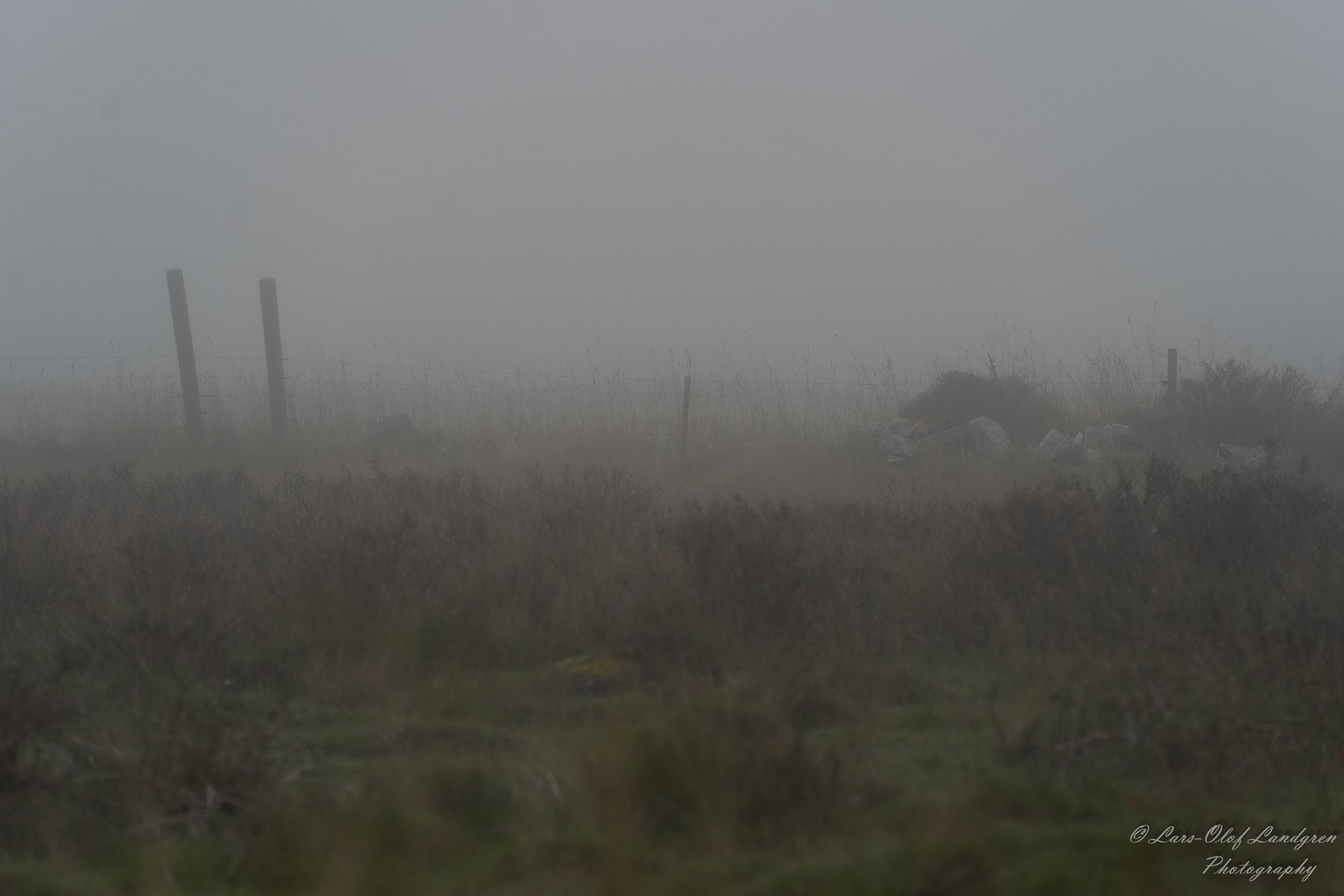 03102023-_DSC9592
