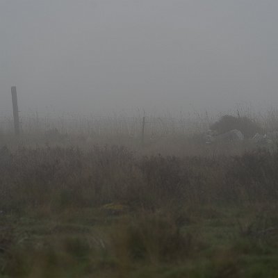 03102023-_DSC9592