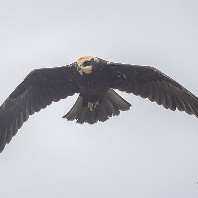 30082024-_58A9913-Redigera-2