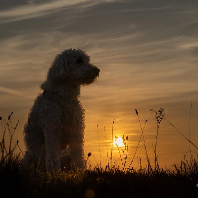 _DSC2875-2