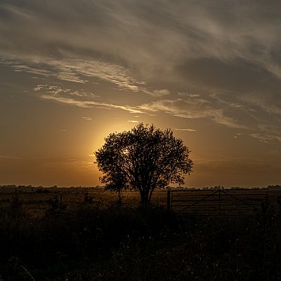 _DSC2920