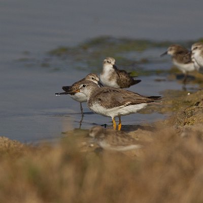MAR_24641600