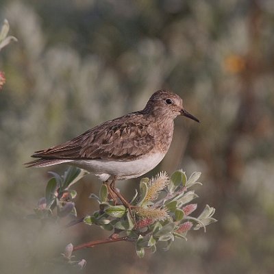 IMG_91241024