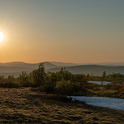 20062020-DSC04381
