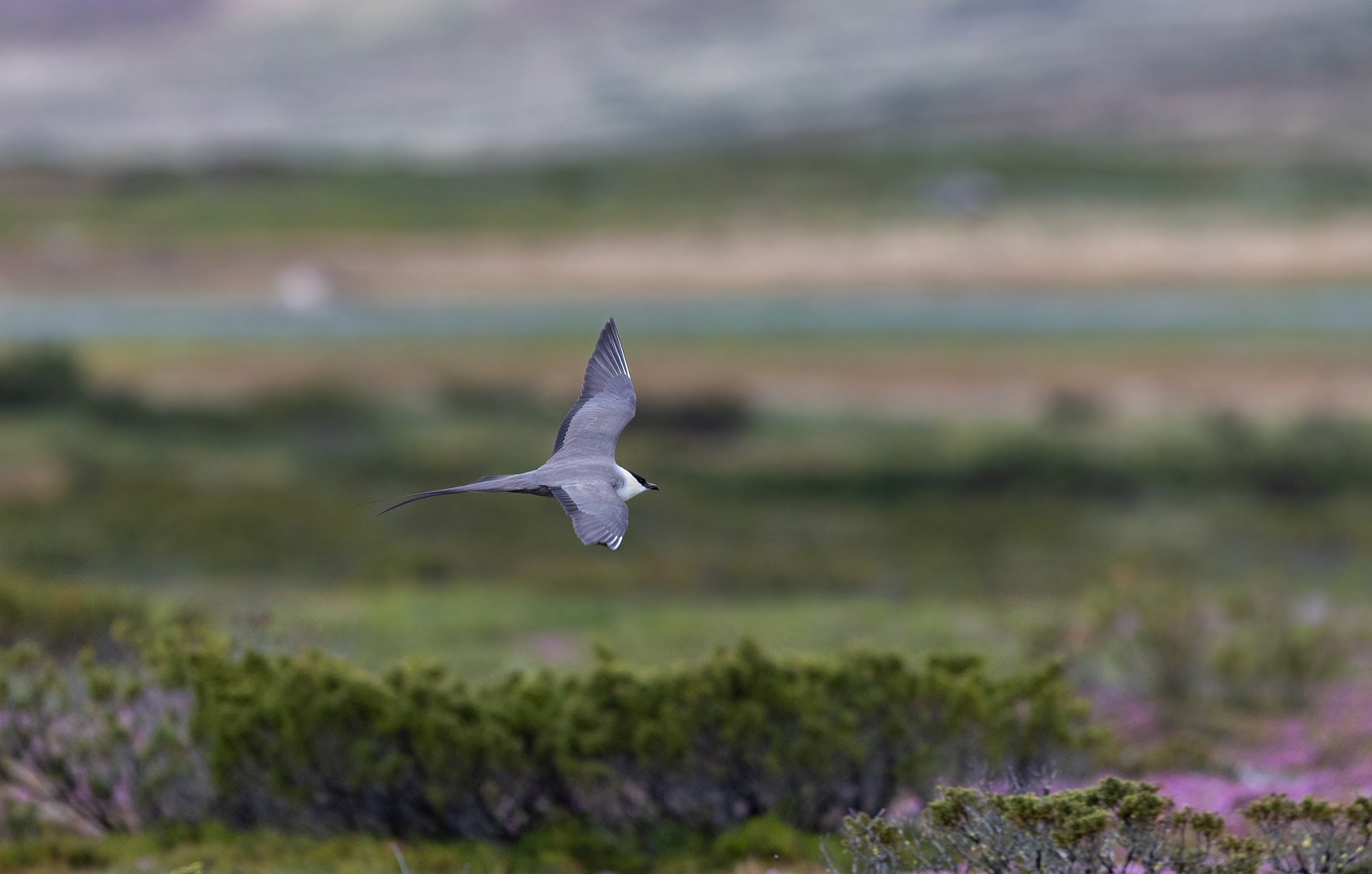 20062021-8C8A6424