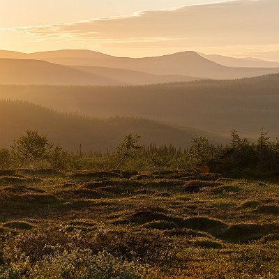 23062021-DSC06549