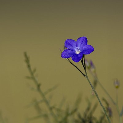 IMG_76801024