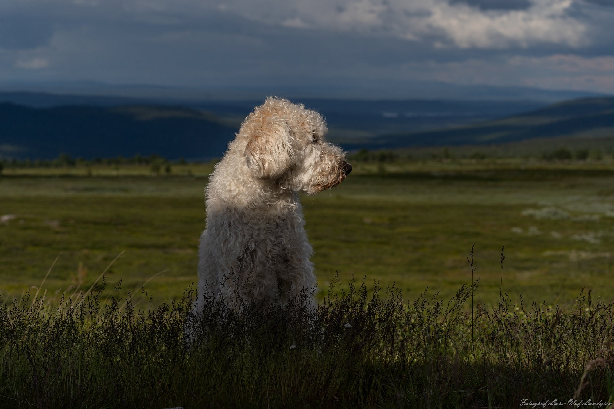 07072023-_DSC8803