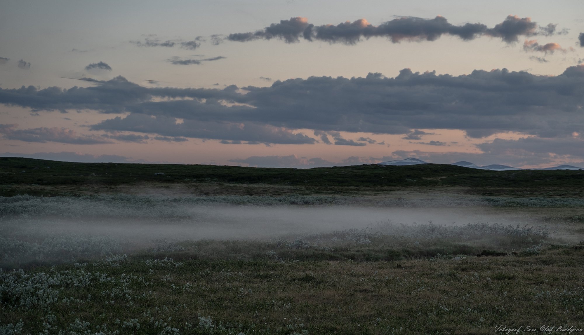 26062023-_DSC8567