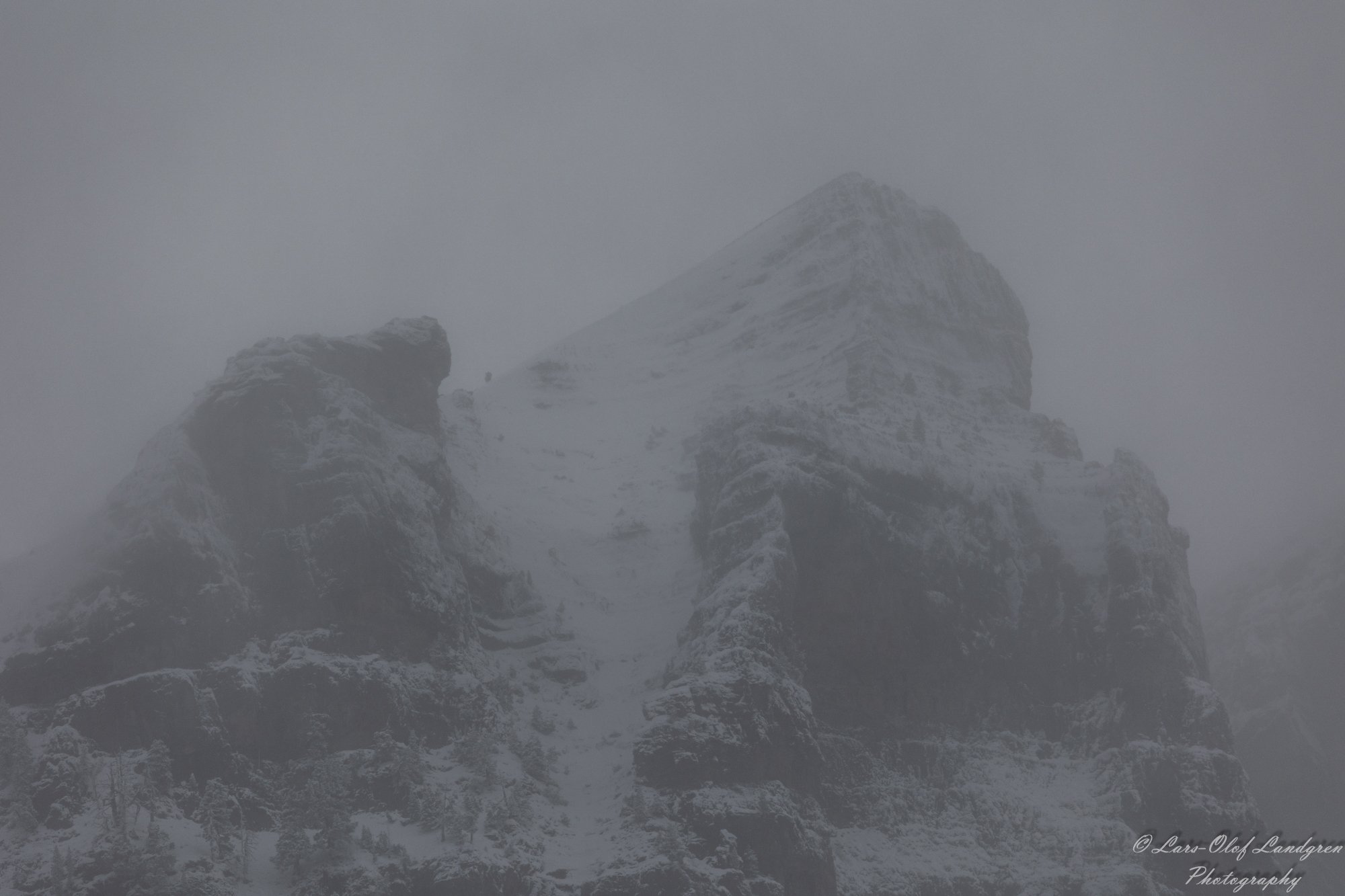 8C8A2759