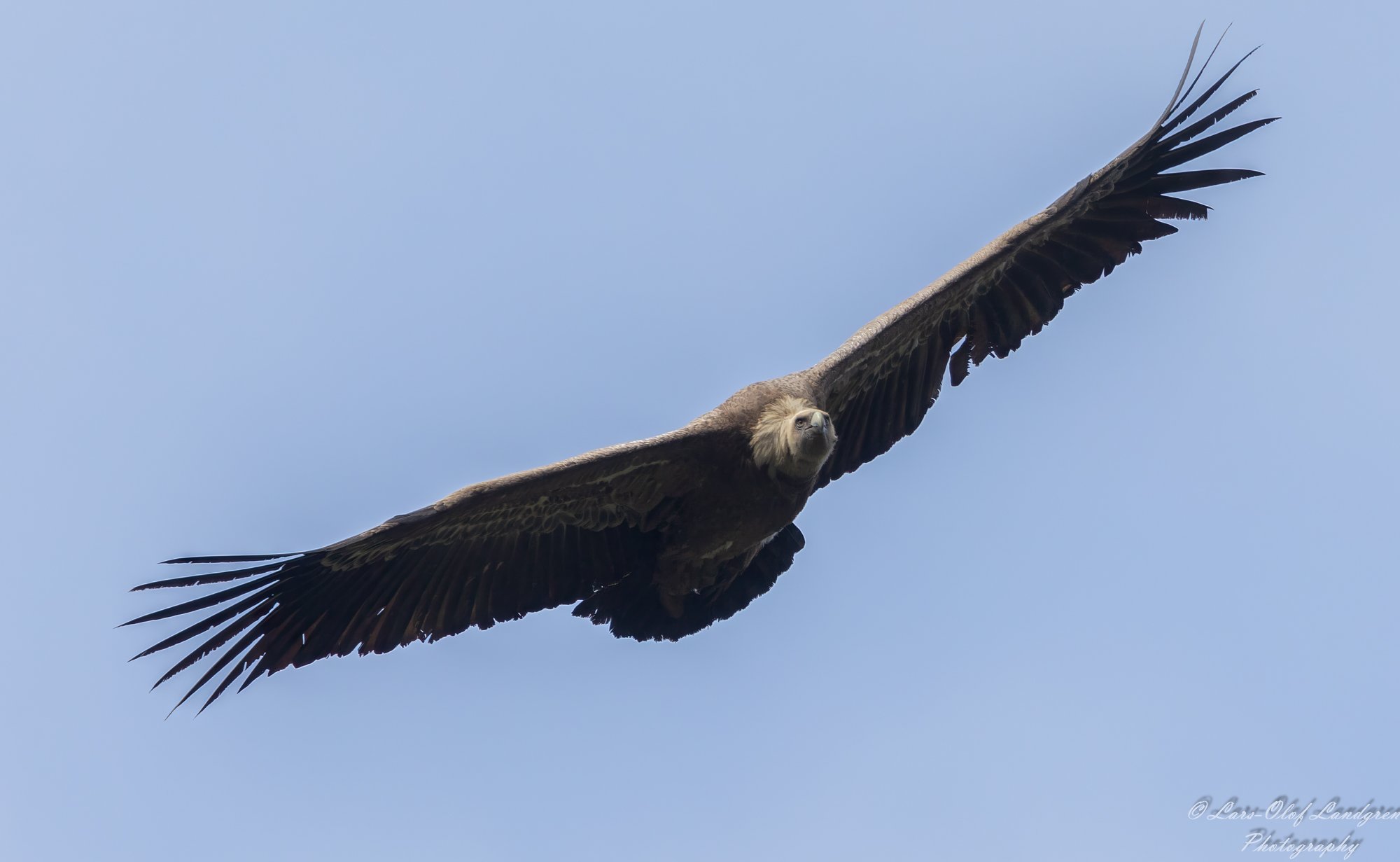 8C8A2798-Redigera