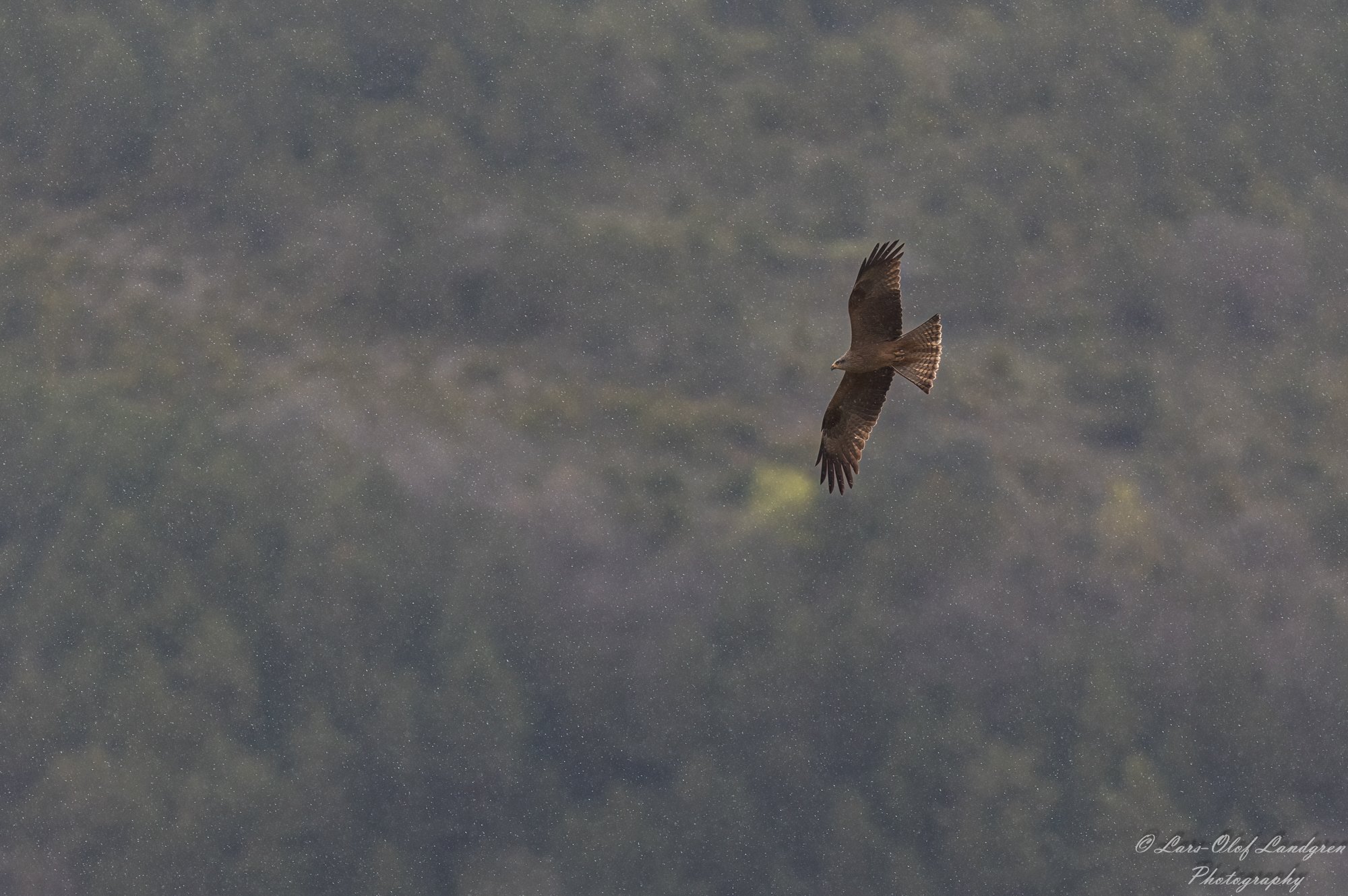 8C8A3015-Redigera
