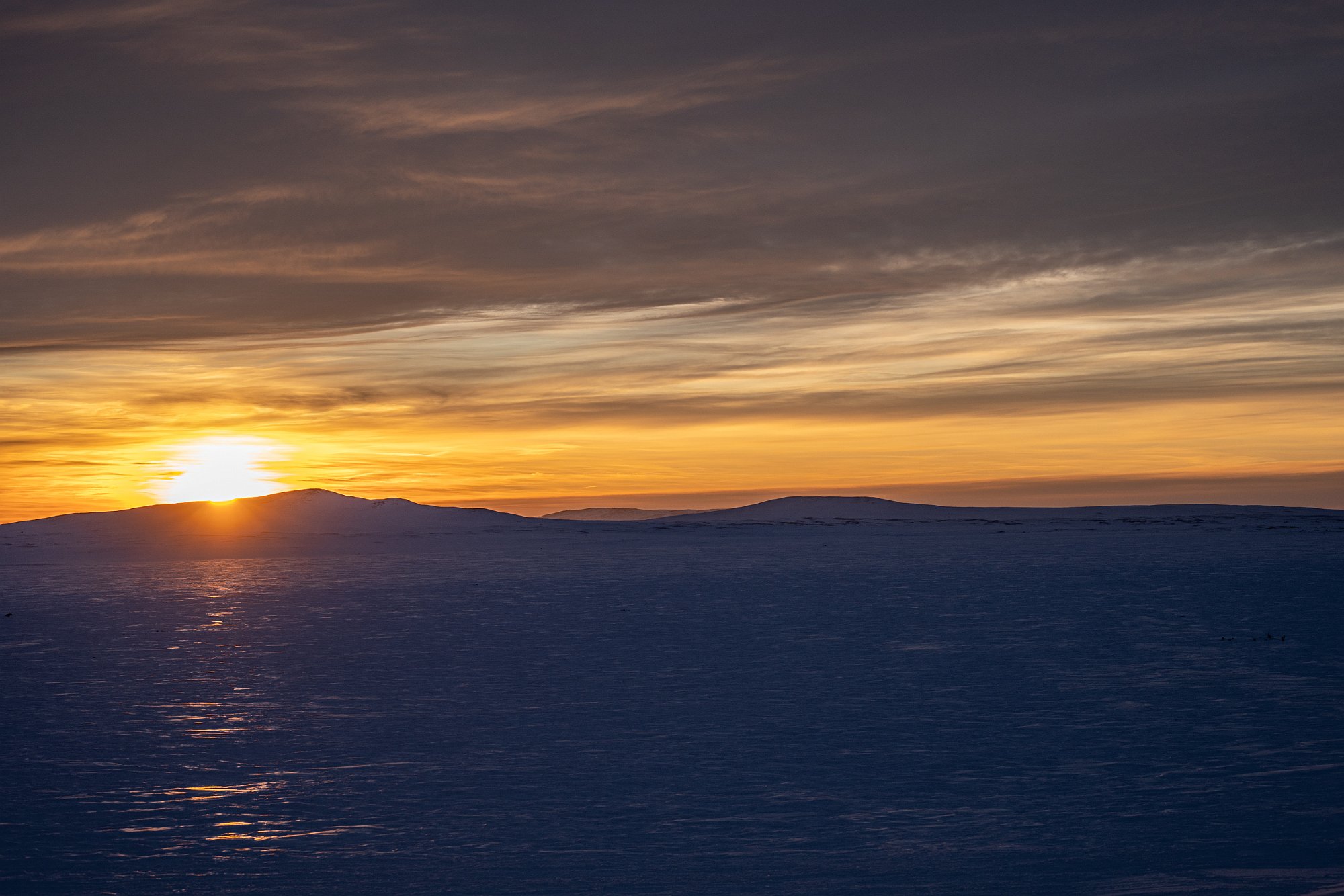 10032022-DSC01420