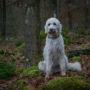13122020-13122020-DSC06000