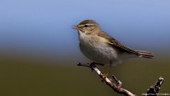 IMG_2493