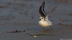 IMG_5134