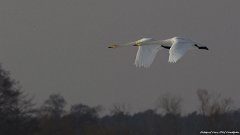 IMG_7069
